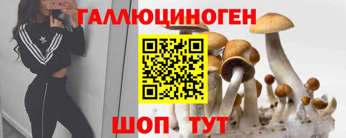 Псилоцибиновые грибы MAGIC MUSHROOMS Семёнов